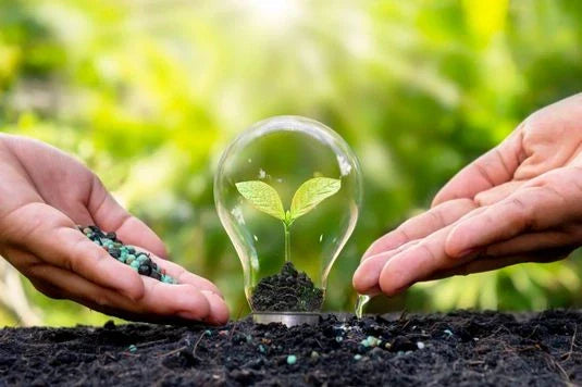 Adubos e fertilizantes para o jardim