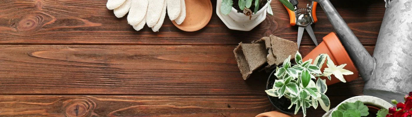adubo em substrato da terra