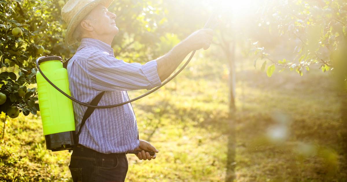 pulverizadores para o seu jardim