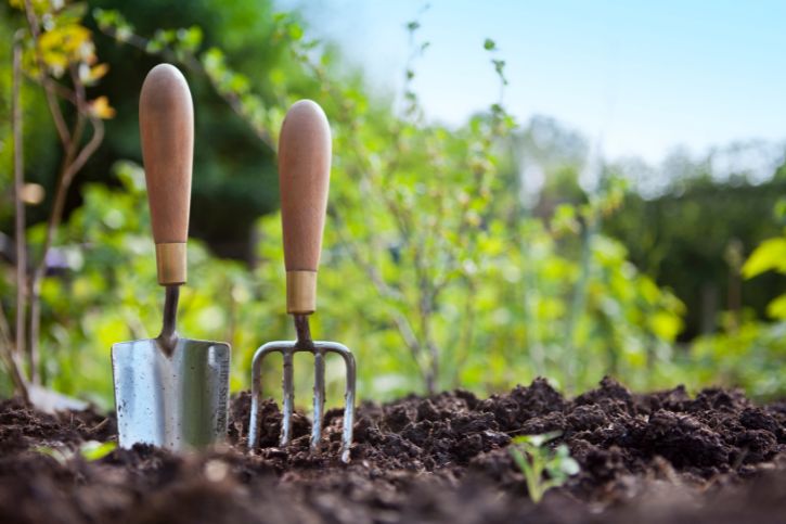 adubo em substrato da terra