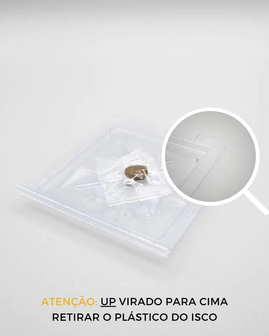 Kit to eliminate silverfish