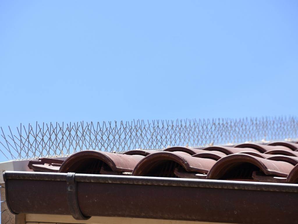 Armadilhas pombos nos telhados, varandas e terraços das casas