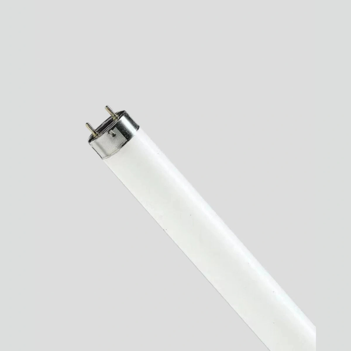 lampada philips 15W para inseto caçador