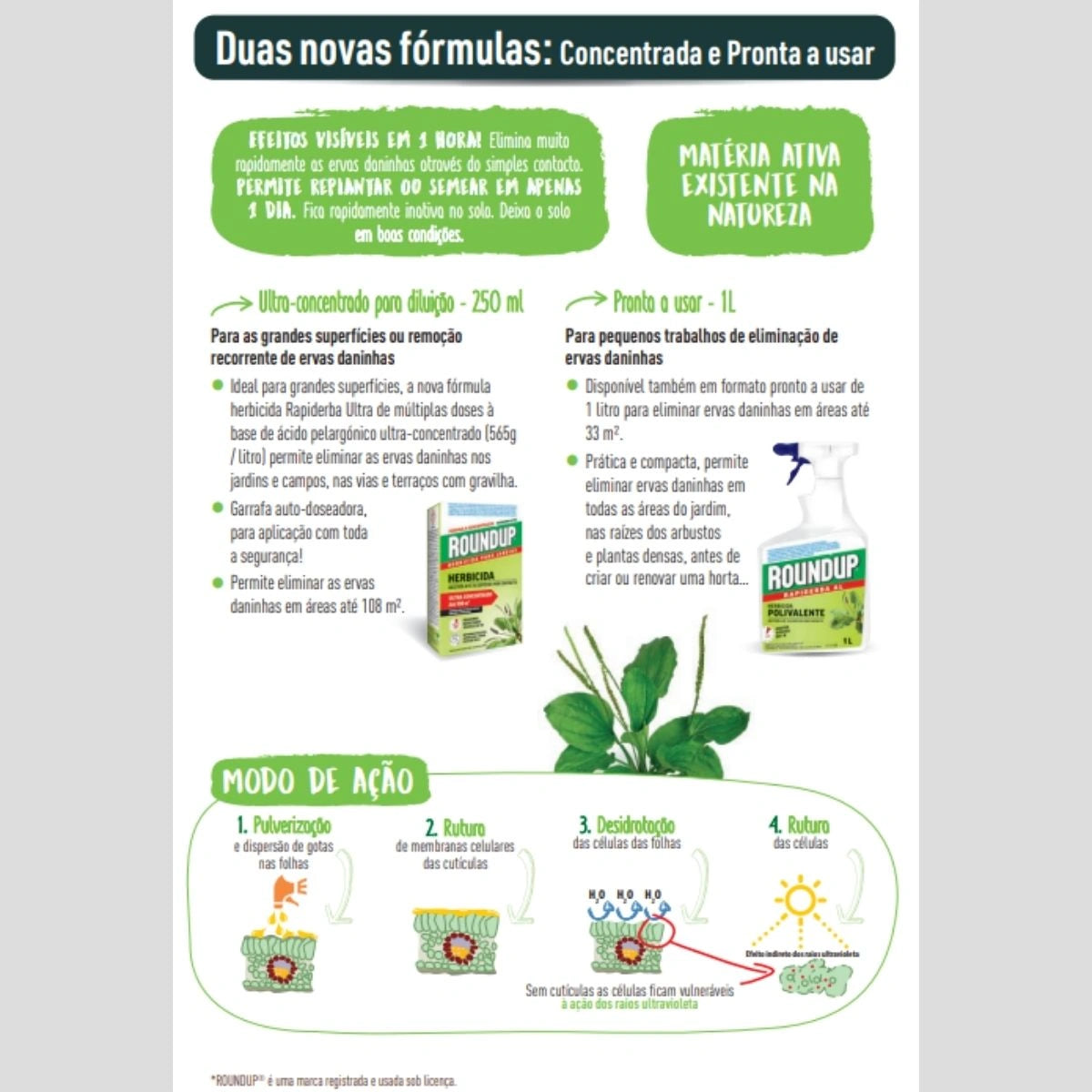 herbicida fórmula