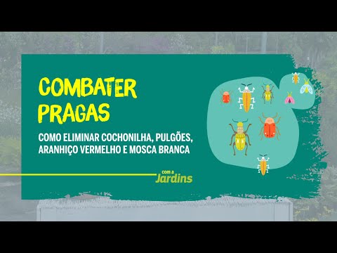 controlar a lagarta do pinheiro