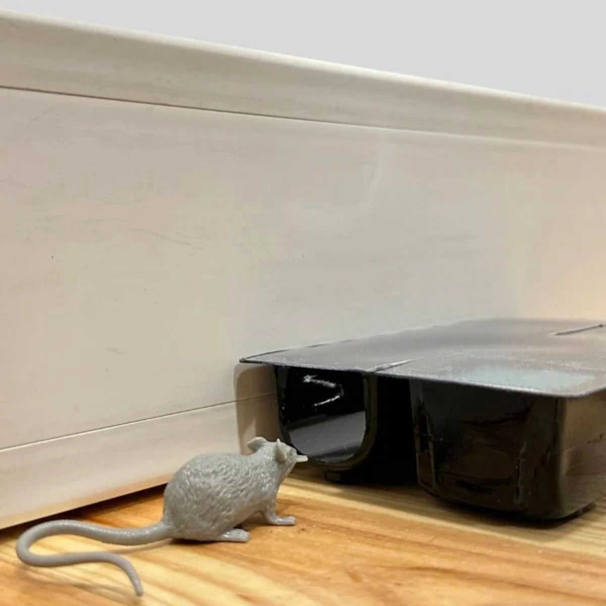 rato a entrar na ratoeira