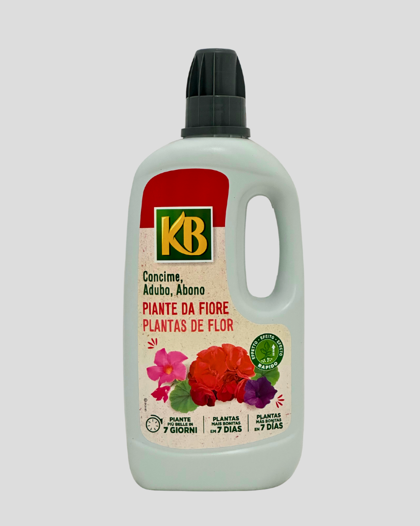 KB Adudo Plantas Flor 