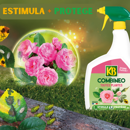 Spray 2 en 1: Estimula las Plantas y Protege de los Insectos
