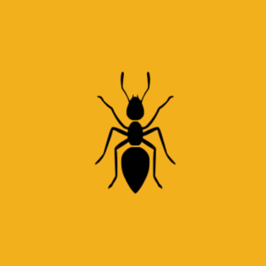 representação do emoji da formiga