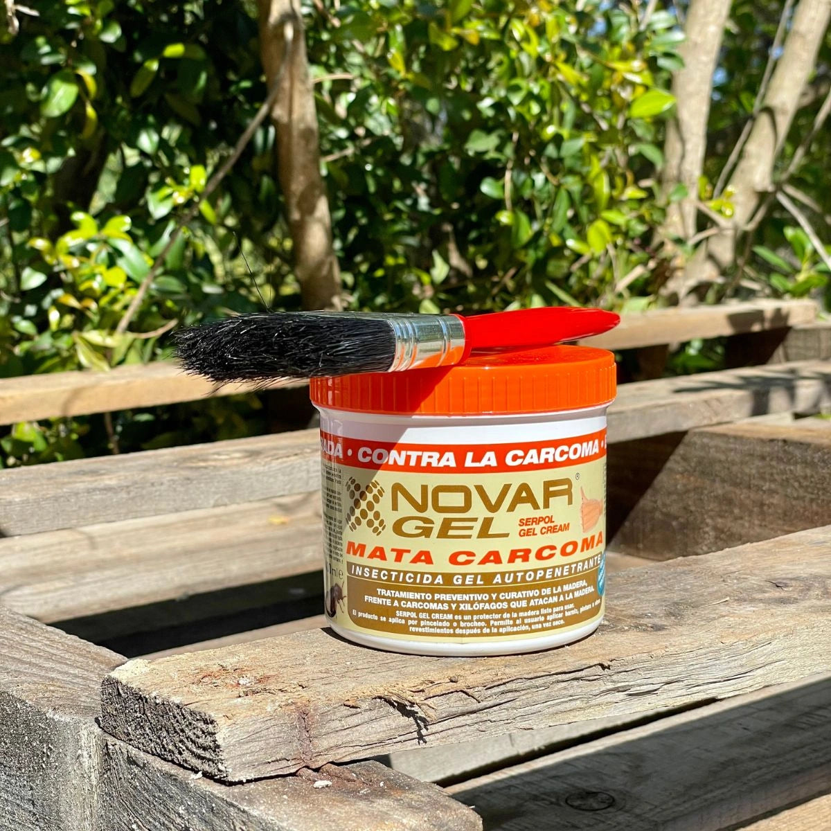 tratamento em gel contra bicho da madeira