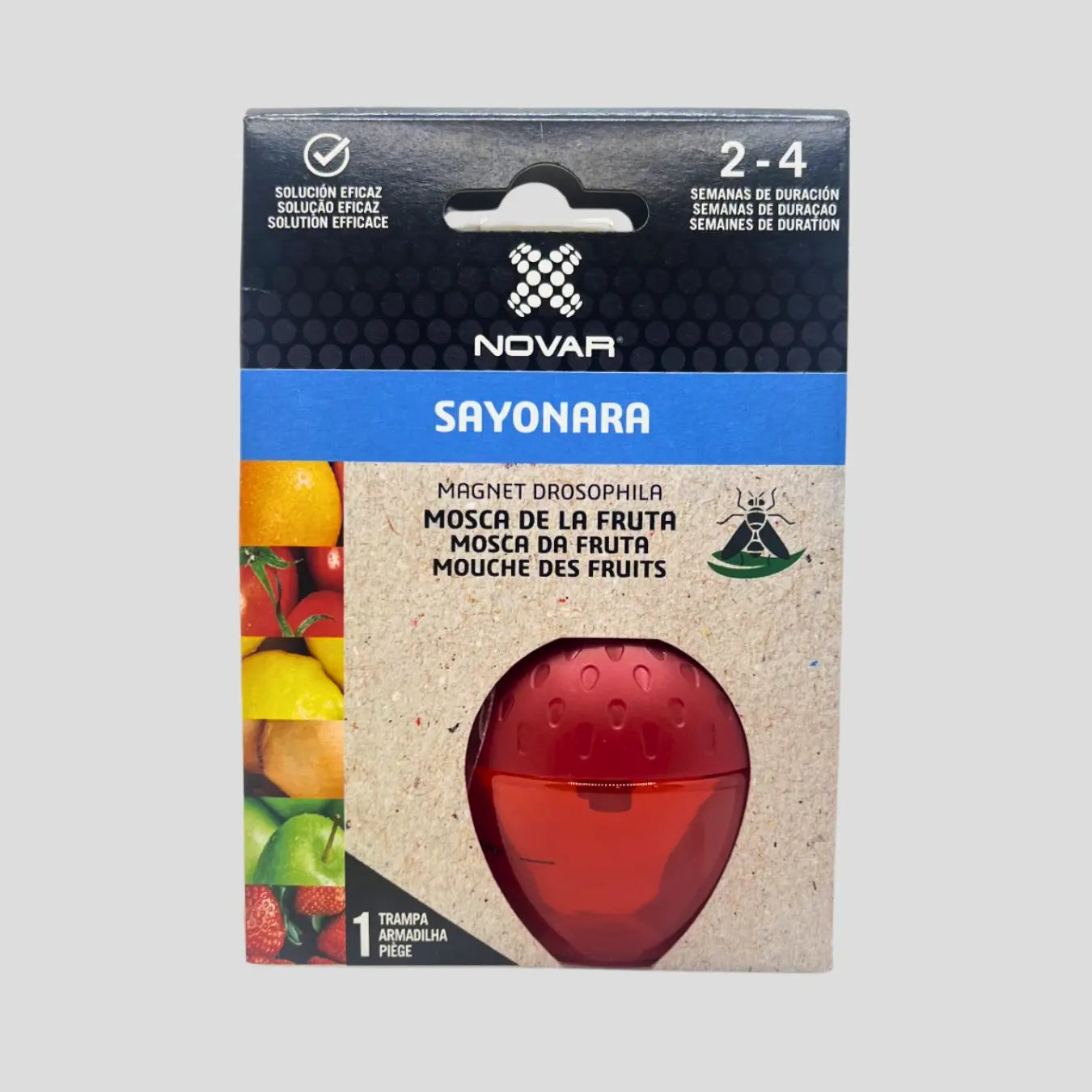 Armadilha contra mosca da fruta morango