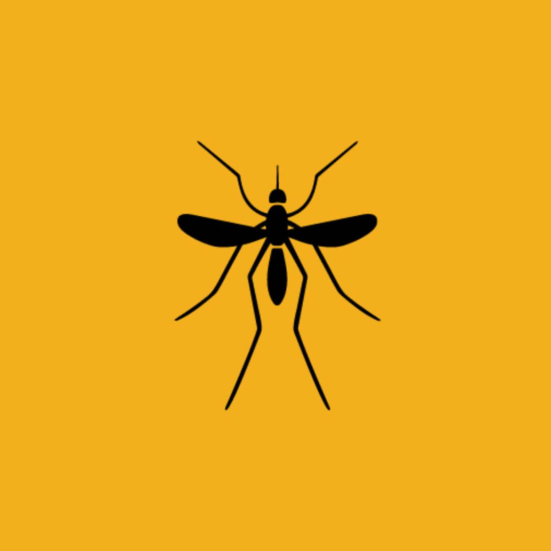 representação do emoji do mosquito