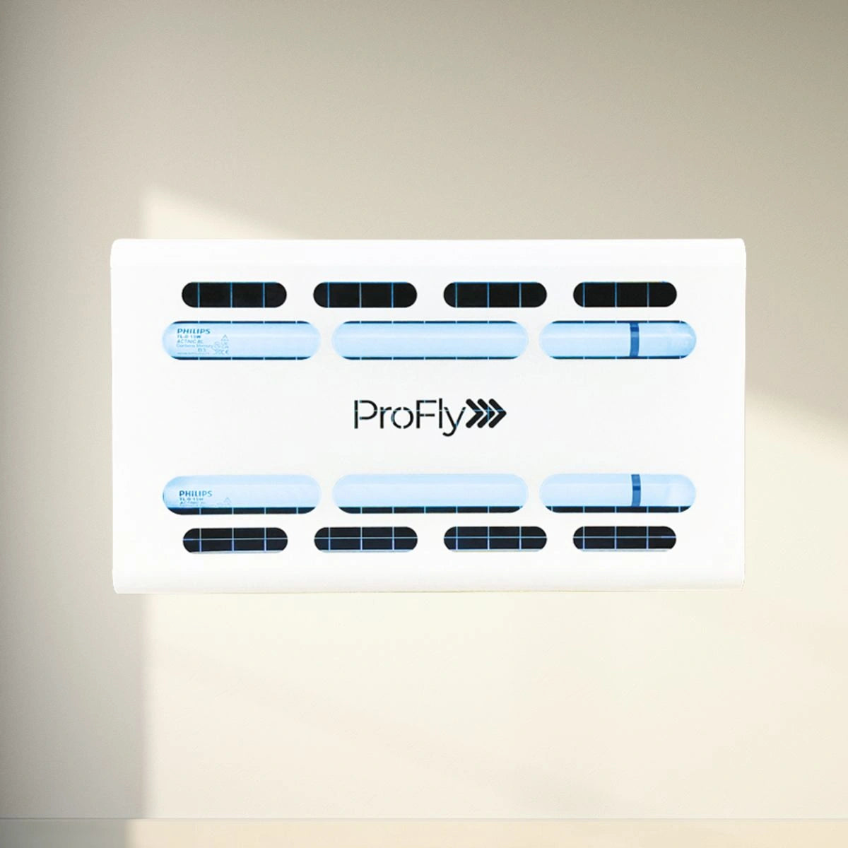 Inseto caçador parede