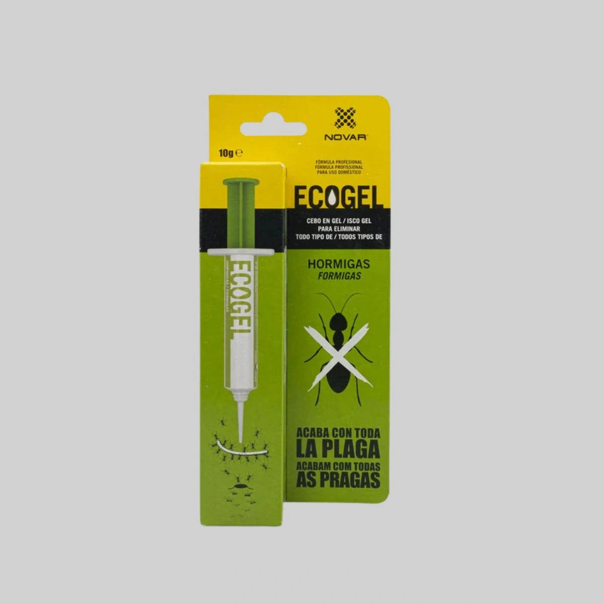 seringa ecogel para eliminar formigas em casa