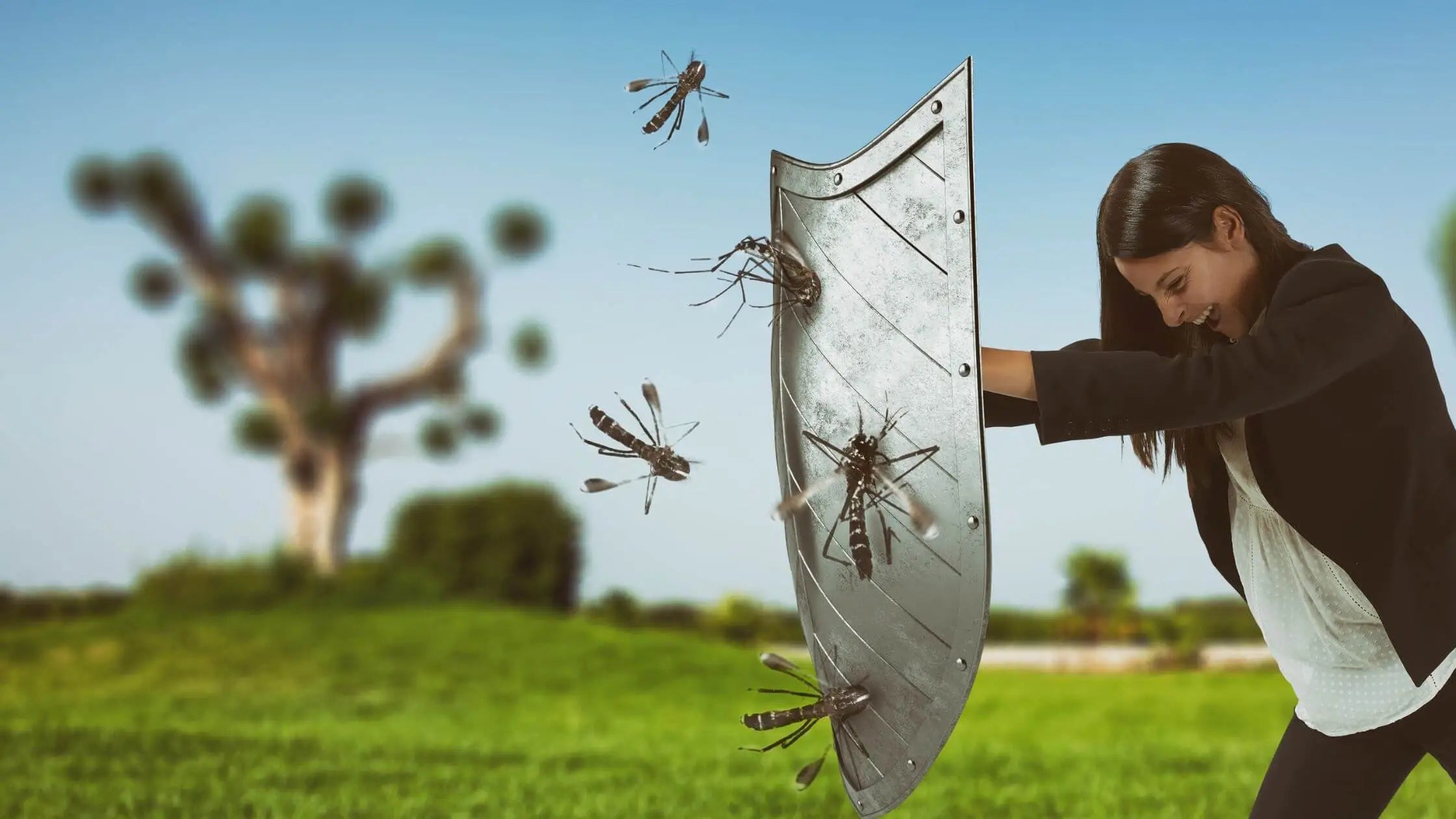 mulher combate moscas e mosquitos