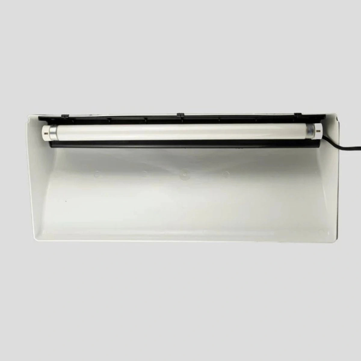 inseto caçador branco anti-insetos