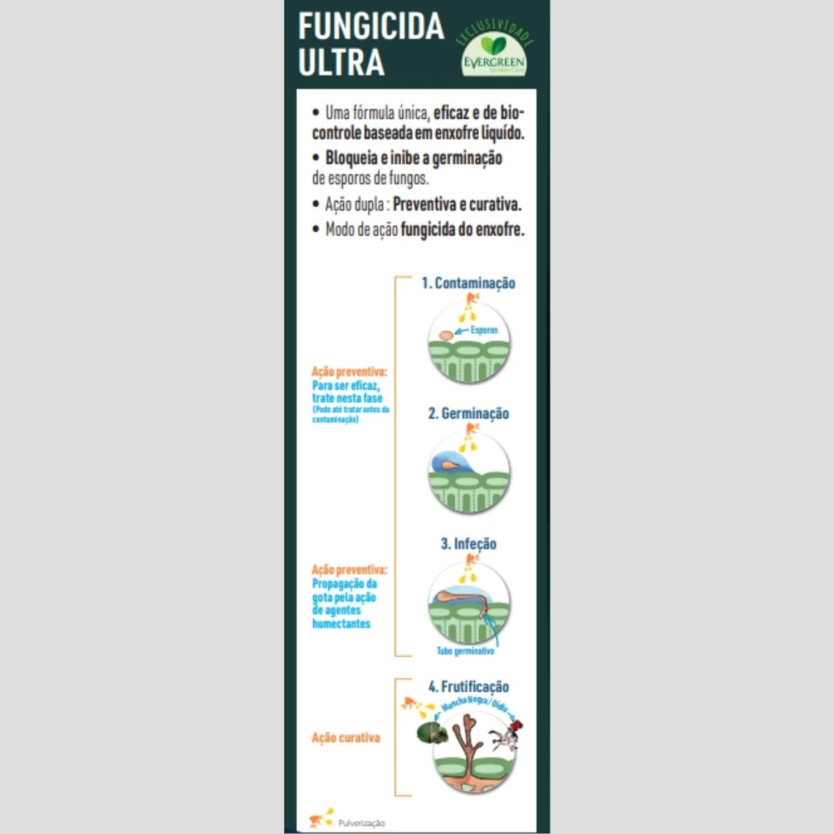 Fungicida ultra instruções