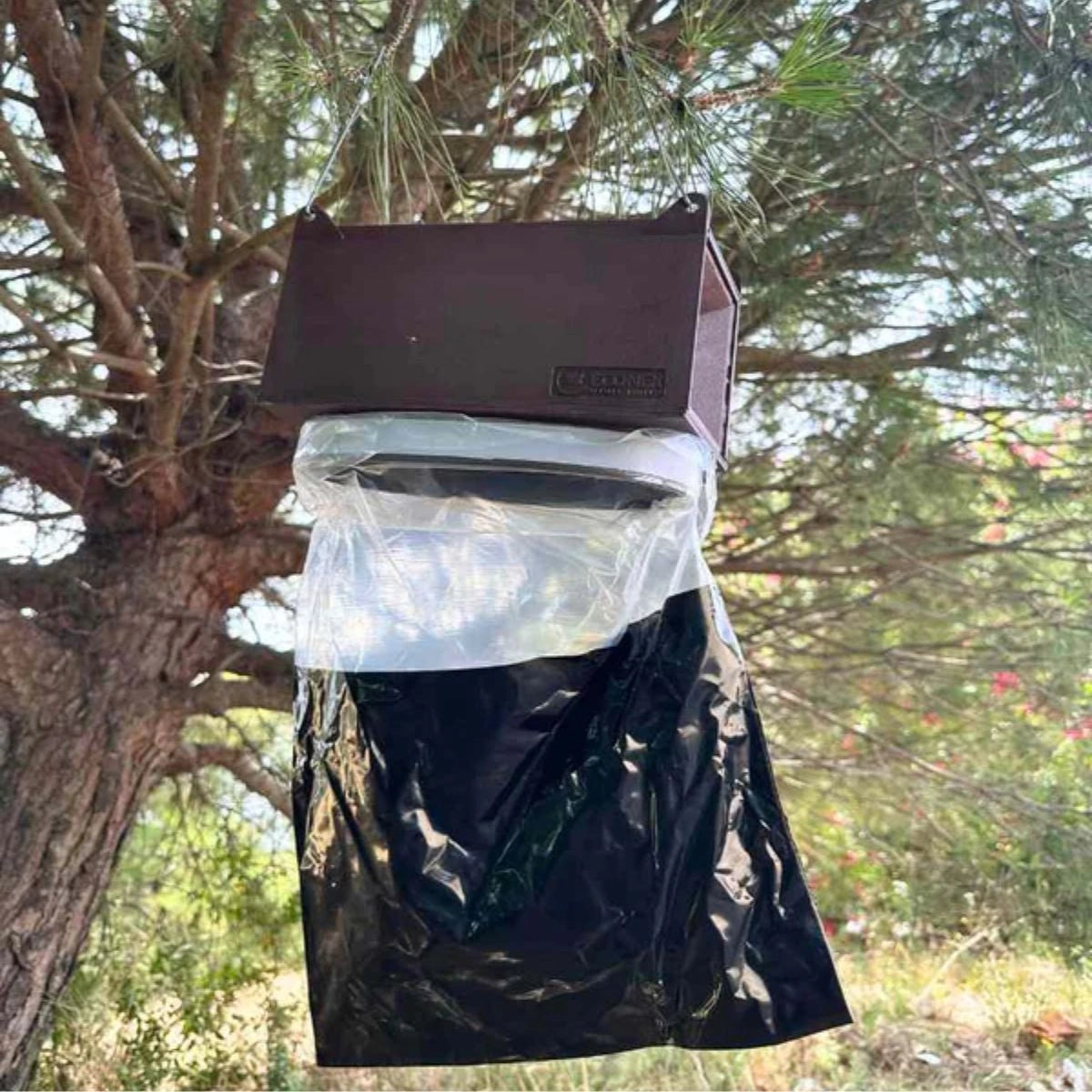 Pine Processionary Moth Trap Pine Processionary Moth Trap