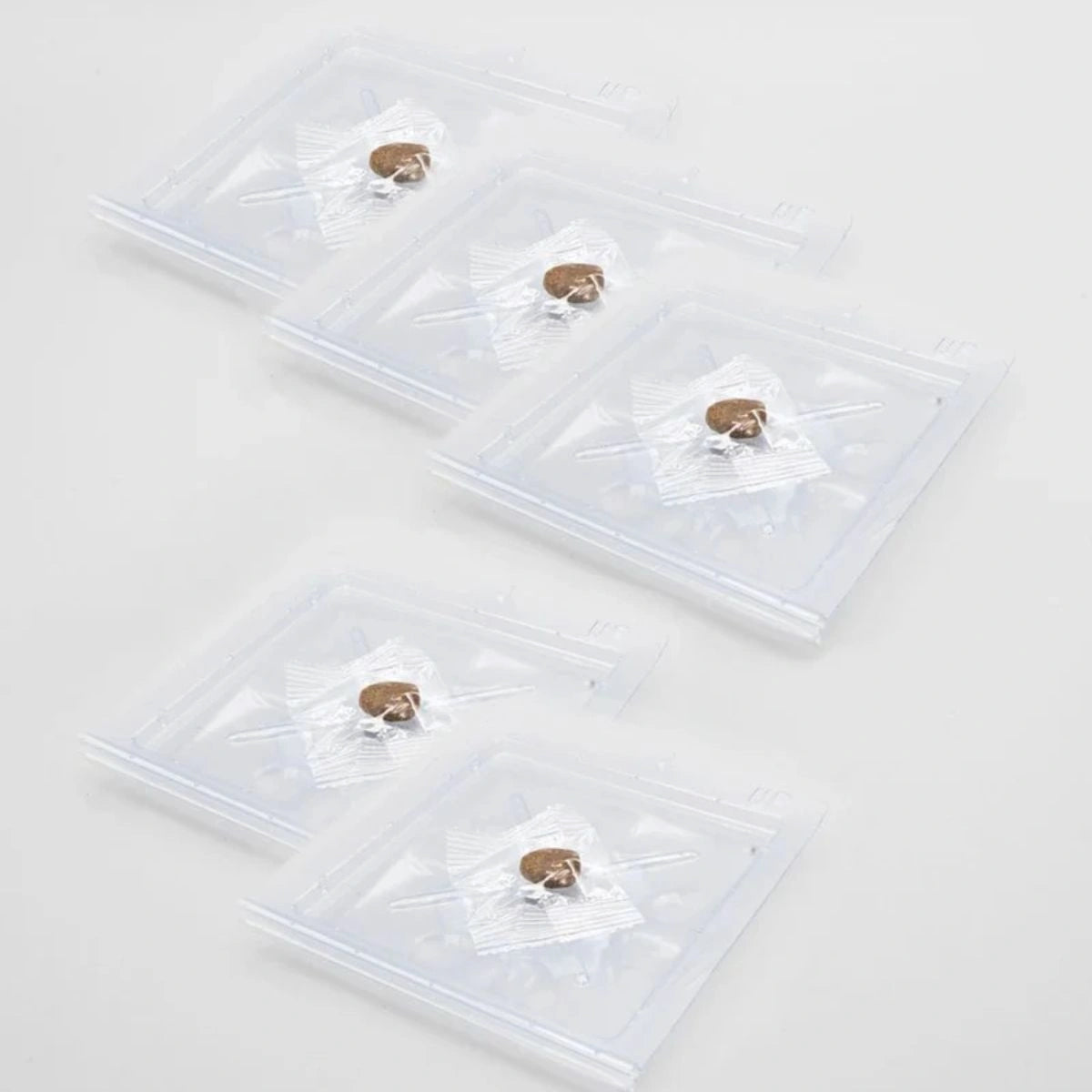 Pack 5 armadilhas contra peixinho prata 