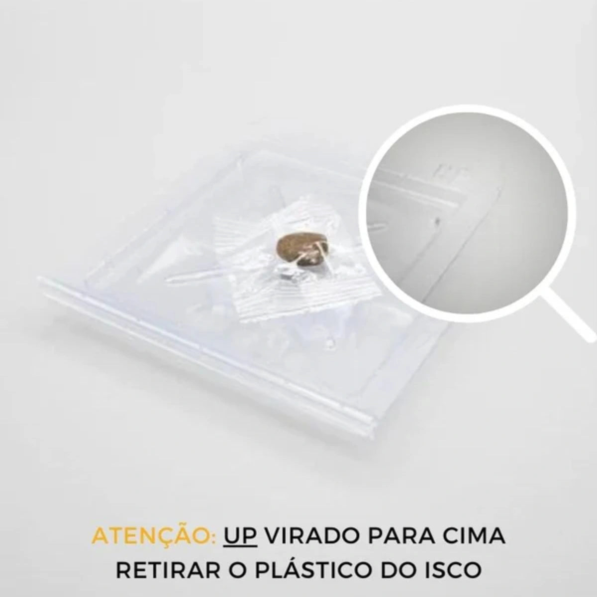 posição da colocação da armadilha peixinho de prata