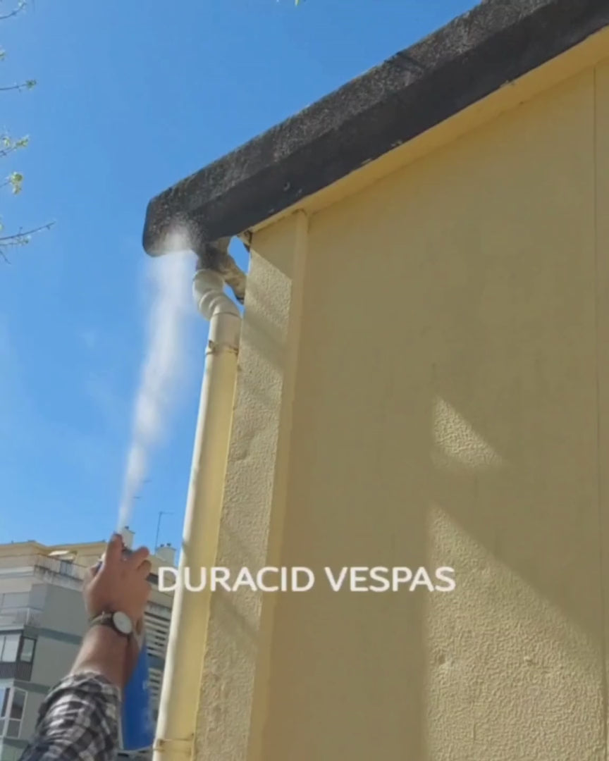 video explicativo sobre tratamento de vespas