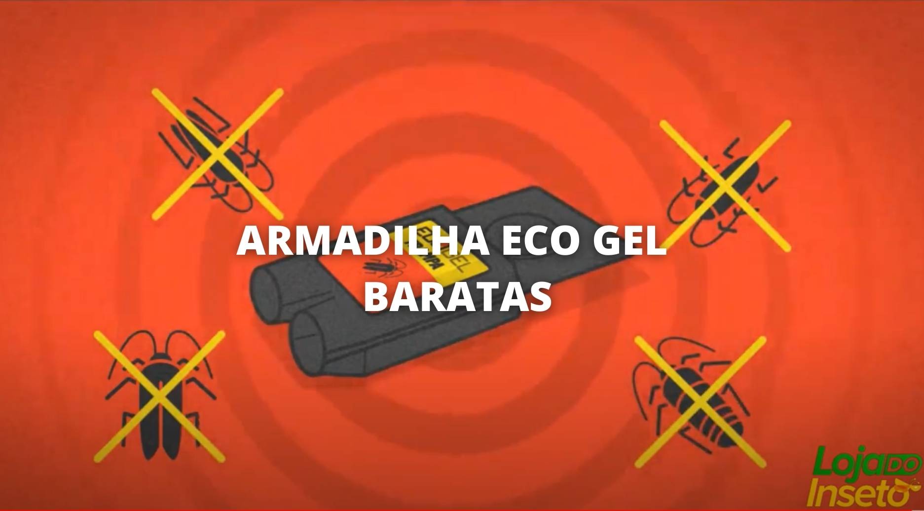 video explicativo sobre armadilhas baratas