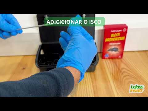 ratoeira para ratazanas